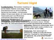 Turism #13
