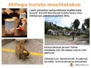 Turism #18