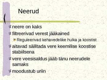 Erituselundkond #4