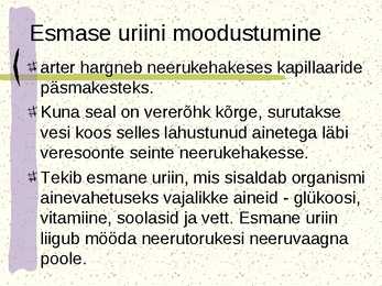 Erituselundkond #6