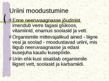 Erituselundkond #7