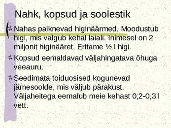 Erituselundkond #9