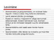 Majavamm-serpula lacrymans #3