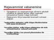Majavamm-serpula lacrymans #5