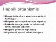 Hingamiselundkond-esitlus #2
