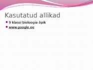 Hingamiselundkond-esitlus #13