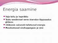 Hingamiselundkond-esitlus #3