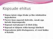Hingamiselundkond-esitlus #8