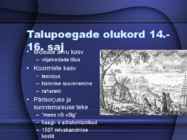 Vana-Liivimaa #11