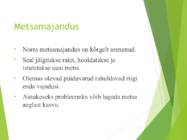 Norra metsad #11