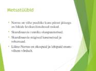 Norra metsad #3
