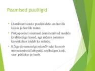 Norra metsad #4