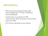 Norra metsad #9