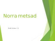 Norra metsad