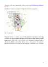 Mürkgaaside kokkupuuted inimestega #6