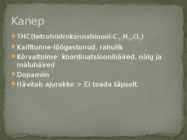 Narkootilised ained ja aju #3