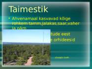 Ahvenamaa #7