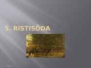 5-Ristisõda