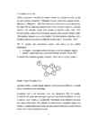 SEMANTIC NETWORK #7