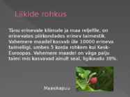 Vahemere taimestik #3
