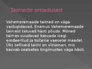 Vahemere taimestik #4