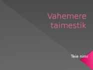 Vahemere taimestik