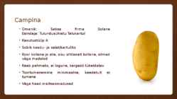 KARTUL #4