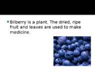 Bilberry #3