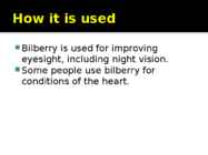 Bilberry #6