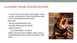 Kuidas end viiruste eest kaitsta #6
