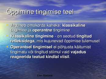 Tähelepanu #5