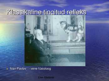 Tähelepanu #6