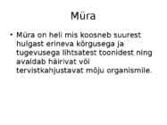 Füüsikalised ohutegurid #2