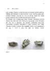 PRINTERID #16