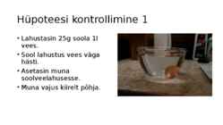 Muna ujuvus soolvees #6