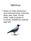 Paigalind-Vares #6