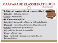 Eesti maavarad #3