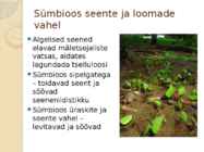 SEENTE ELUVIIS #5