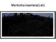 Kotkaklubi #7