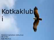 Kotkaklubi