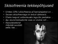 SKISOFREENIA esitlus #7