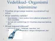 Toitumise mõju lihastaastumisele #5