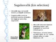 Esitlus - Koostööd soosivad evolutsioonilised mehhanismid #3