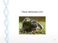 Esitlus - Koostööd soosivad evolutsioonilised mehhanismid #9