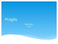 Prügila