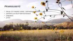 Hipsterid ehk lillelapsed #4