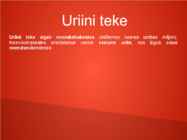 Erituselundkond ja uriiniteke #2