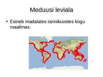 Meduus #6