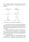 Capillary electrophoresis i k #9