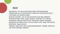 NIIDUD #2